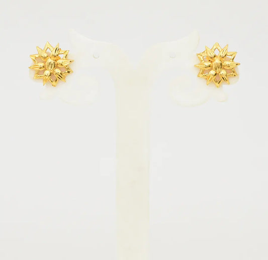 Hestia Stud - W091894