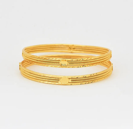 Mehek Two Bangles - W111932